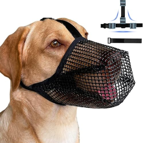 Anti Giftköder Maulkorb Maulkorb Hund Weicher Netzmaulkorb Prevent Fressen Kauen Beißen Atmungsaktiv Reflektierende Einstellbare Für Mittlere Große (Black-M)