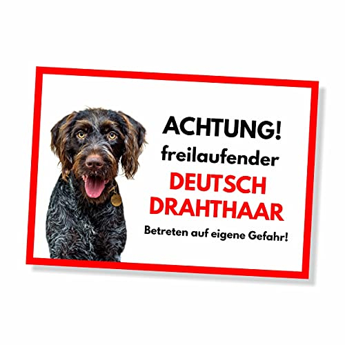 Deutsch Drahthaar Freilaufender Hund Dog Schild Spruch Türschild Hundeschild Warnschild Geschenkidee Sicherheitsschild Hund Privatgrundstück Hundewarnung Warnung vor dem Hund