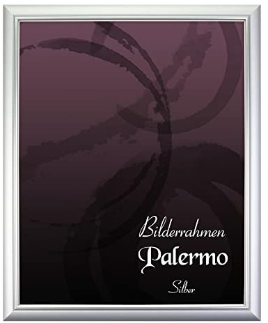 BIRAPA Palermo Bilderrahmen 50x150 cm Silber - Silberner Bilderrahmen, Bilderrahmen Antik, Bilderrahmen Vintage