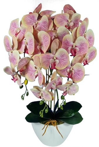 Damich Künstliche Orchidee im Topf Gummi - Modell 3pgbb, mit Moos, 60 cm hoch, 3 Stielen mit vielen Blumen (Teefarbe)