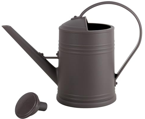 XTDMJ Arrosoir léger de 2 L pour l'intérieur, arrosoir de jardin avec long bec et tête d'arrosage amovible, vaporisateur moderne à brume fine pour plantes de jardin