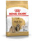 ROYAL CANIN - ROYAL CANIN Shih Tzu Adult - 3 Kg