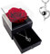 WILDLOVE Valentines Day Gifts for Her, Preserved Real Red Rose with I Love You Necklace, Valentines Day Gifts for Mom Wife Girlfriend, Anniversary or Birthday Gifts for Women