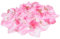 FAIRYGATE Seidenschal Damen Elegante Chiffon Seidentuch Haare Elegant Satintuch Halstuch Seide Damen Bandana Tuch Kopftücher Damen Taschentuch Ansatz Scarf DA2808