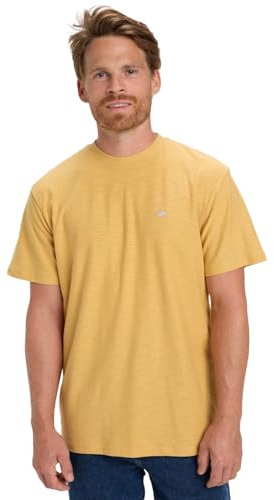 Quiksilver Men's Slub Roundneck T-Shirt (Pack of 1)