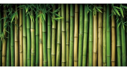MIRRORANG 91x50cm Bambou verger Reptiles Terrarium Aquarium Fond Vert Bambou Fish Tank Fond Barbu Dragon Vivarium Fond Vinyle