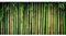 MIRRORANG 91x50cm Bambou verger Reptiles Terrarium Aquarium Fond Vert Bambou Fish Tank Fond Barbu Dragon Vivarium Fond Vinyle