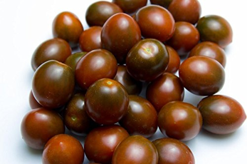 1,47 g zertifizierten Bio-Black Cherry Tomaten-Samen ~ 400 Samen leicht Minis Lila