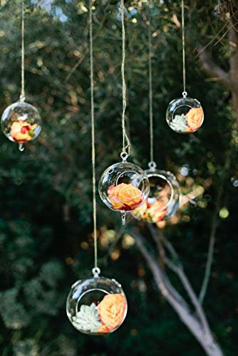 50 pcs 8cm Portavelas de Velas Pequeñas Bolas De Vidrio Colgante Portavelas De Colgantes Planta Jarrón Terrario Bola de Cristal Para Bodas Románticas/Celebración De Cumpleaños/Decor De Fiestas