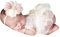 Kunyeah Lace Newborn Girls Photography Prop Baby Girl Tutu Dress with Flower Headband Infant Photo Shoot Outfits Bow Tulle Skirt White