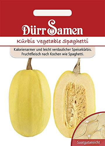 Dürr-Samen 1885 Kürbis vegetable Spaghetti (Spaghettikürbissamen)