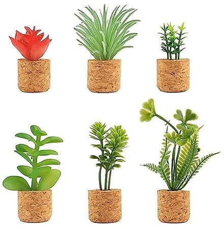 Lvsnswio 6 Pcs Cactus Refrigerator Magnets Mini Cute Succulent Plant Fridge Magnet Decoration Parts Accessories for Home Kitchen Office