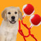 Donubiiu Pfotenstern Magic Ball, Interaktiver Spielball Pfotenstern, Pfotenstern Kauzauber Ball für Hunde, Elektrisch Interaktiver Hundespielzeug Kauzauberball mit Schwanz (2 Stück)