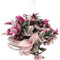 I Giardini di Giulia Tradescantia Nanouk in Vaso 20cm, Pianta Vera da Interno, Altezza 28-32cm, Foglie Variegate Rosa-Verde-Bianco, Decorazione Casa e Ufficio, Facile Manutenzione. Pianta vera