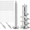 Tapvai 100Pcs Tasselli per Cartongesso, 50 Viti + 50 Ancoraggi, Tasselli Cartongesso con Viti, Fisher Cartongesso, per Cartongesso, Tasselli Autoperforanti per Cartongesso, Tasselli per Cavit
