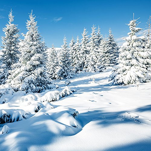 20 Servietten Nat?rlicher Winterwald/Wald/Schnee/Winter/Weihnachten 33x33cm