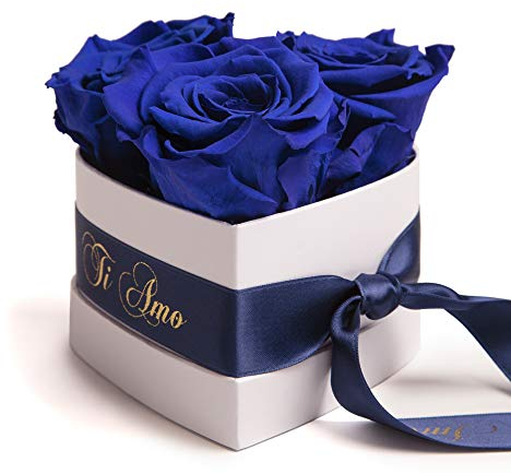 ROSEMARIE SCHULZ Heidelberg Infinity Rosenbox Herz - 10x12cm 3 konservierte Rosen haltbar 3 Jahre Frauen - Beste Freundin Geschenke (Ti Amo, Blau)