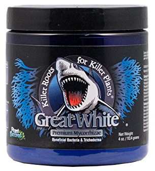Mykorrhiza Great White 113,40 Gramm