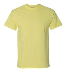 Gildan Blank Tee, (G500)