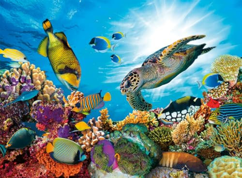 Nathan Puzzle 500 Teile Das Korallenriff, Erwachsene und Kinder ab 12 Jahren, Premium-Puzzle, perfekte Integration, Wildlife Kollektion, 12000954