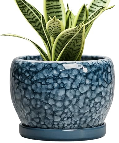 SQOWL Ceramic Pots for Plants - 6 Inch Plant Pot Indoor Outdoor, Ceramic Planter with Drainage Hole and Saucer, Decorative Round Planter, Small Flower Pot, Table Decor, Gifts for Plant Lovers, Blue