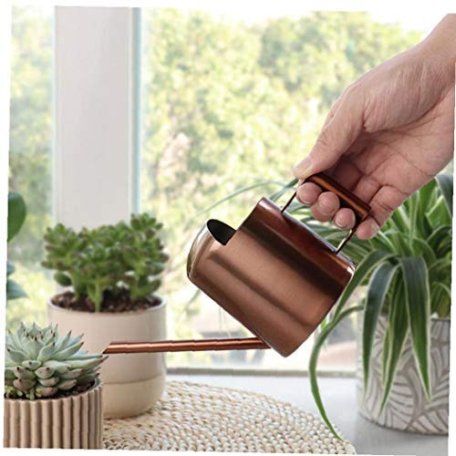 MICHAELA BLAKE Mini Gießkanne, Blumentopf Edelstahl Kleiner Topf mit Langen Auslauf für Kinder Kindergarten Bonsai Indoor Zimmerpflanze Gartenpflanzen Blumenvase Eimer (Bronze)