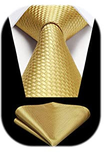 HISDERN Krawatte Gelb Hochzeit Klassisch Krawatte mit Einstecktuch Formal Business Schlips Herren Elegant Party