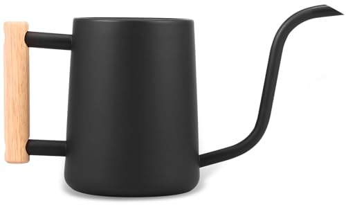 1L Small Water Kettle Indoor Plant Wooden Handle Stainless Steel Water Kettle Long Spouted Garden Water Kettle (Color : Black)