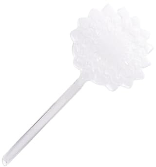 DIYEAH Automatisches Selbstbewässerungsgerät aus Glas mit Langer Spitze Präzise Wasserkontrolle Geeignet für Indoor Outdoor Pflanzen Einfache Handhabung für Automatische