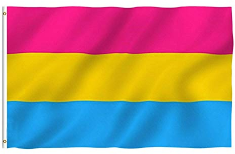 Buding Pansexual Pride Flag, Lebendige Farbe Und UV-beständig, Canvas Header Und Doppelt Genäht, Omnisexuelle LGBT Flags Polyester Mit Messingösen 150x90cm