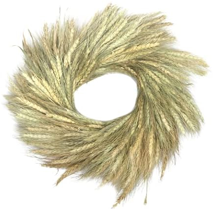 CHICCIE Corona de cebada seca 45 x 45 cm natural – plantas secas