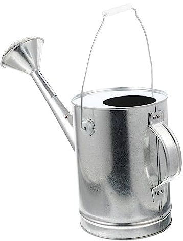 Toddmomy Arrosoir À Bec Verseur en Acier Inoxydable De 5 L pour Plantes Bouilloire Darrosage Pot Darrosage Robuste