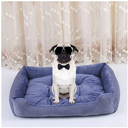 DAIHAN Hundebett Katzenbett Waschbar Katzen Bettchen mit Zweiseitig Innenkissen Katzenschlafplatz Hundesofa Hundecouch Haustierbett,Blau,XL(70x52x15cm)