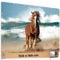 TRIOSK Große Motivplane Sichtschutz Zaunblende mit Motiv Pferd Meer Strand Strandpferd Motivbanner Garten Deko Plane Blickdicht für Zaun Terrasse Gartenzaun Zaunplane PVC 340x173 cm