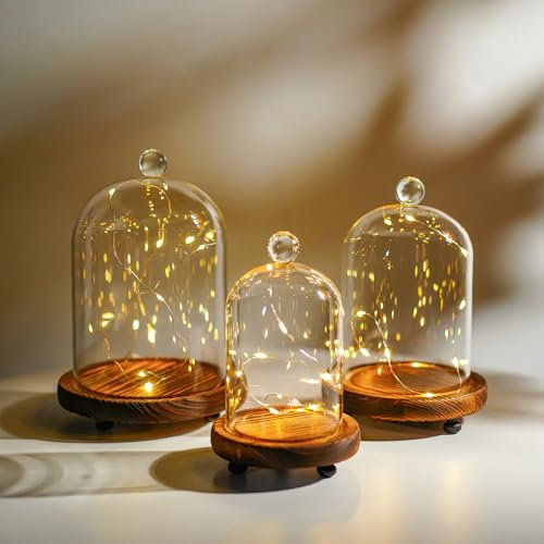 Set of 3 Glass Bell Shape Dome with Wooden Base Clear Decorative Glass Dustproof Dome with Handle for Home Party Wedding Decor