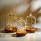 ZEERSHEE Set of 3 Glass Bell Shape Dome with Wooden Base Clear Decorative Glass Dustproof Dome with Handle for Home Party Wedding Decor