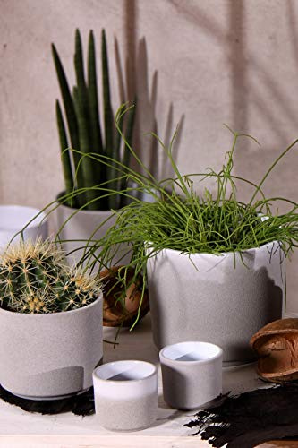 Ivyline Pot de Fleurs, Céramique, Ciment, Taille Unique