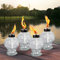 DIKAIDA 4 Pack Glass Table Torch,Citronella top Torches with Wick and Cap for Outdoor ,Refillable Landscape Lanterns Yard Patio Christmas Garden,Party Decor 8.19 x 8.11 6.65 inches