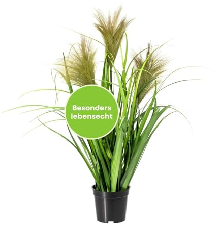 CREATIV green künstliches Chinaschilf 60cm I Gräser künstlich mit schickem Kunststoff-Topf I stilvolle künstliche Pflanzen wie echt mit naturgetreuen Blättern I Schilfgras künstlich ideal als Deko