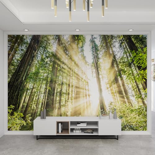 YEMYOR Peinture Murale 3D 200X140Cm Papier Peint Mural Forêt Verte, Peinture Murale Forêt Ensoleillée, Autocollant Amovible, Salon Chambre Tv Fond Mur Papier Peint 3D