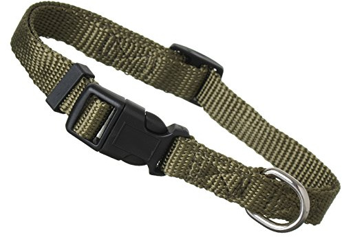 Scarlet pet | Hundehalsband »Universal« mit Klickverschluss und Längenverstellung; Diverse Farben und Größen; Robustes Nylon (M: 29-45 x 2 cm/Grün)