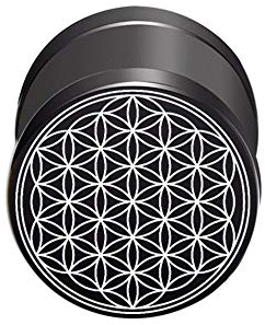 BlackAmazement 316L Edelstahl Fake Plug Ohrstecker Blume des Lebens Ornament 10mm schwarz Rose Gold blau Regenbogen Silber Herren Damen (Schwarz)