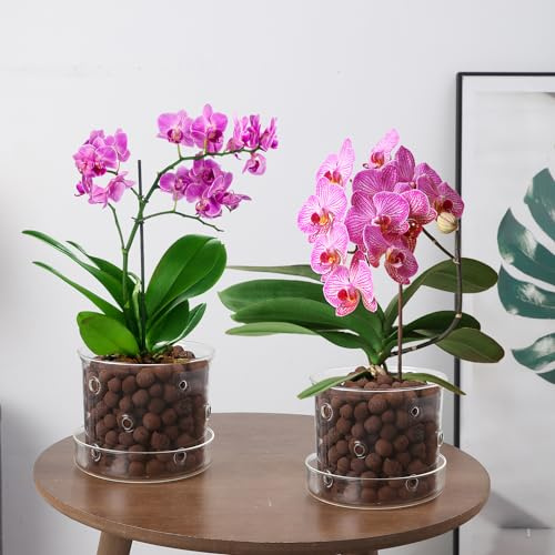 PERFECTOP Orchideentöpfe aus Glas mit Löchern und Untersetzer, transparent, atmungsaktiv, mit Ablauflöchern und Tablett, stilvoller Blumentopf für Orchideen, Innen- und Außenbereich, Heimdekoration, 2