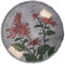 Dalles de jardin rondes antidérapantes avec 6 motifs de fleurs résistantes pour l'aménagement paysager de pelouse Diamètre 35 cm