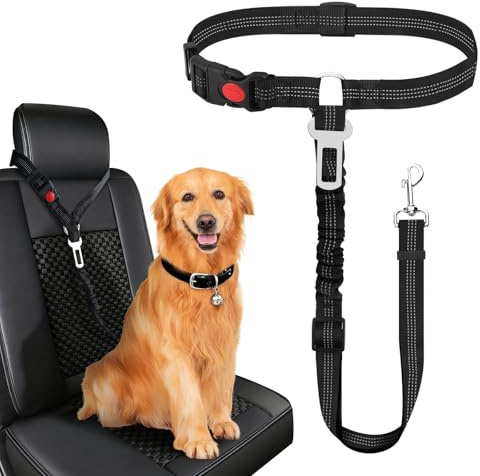 2-in-1 Hunde-Anschnallgurt, Verstellbare Autoleine Mit Ruckdämpfer | Sicherheitszubehör Mit Starkem Karabiner, für Kleine Und Mittelgroße Vierbeiner, Reisen Und Gängige Fahrzeugtypen.