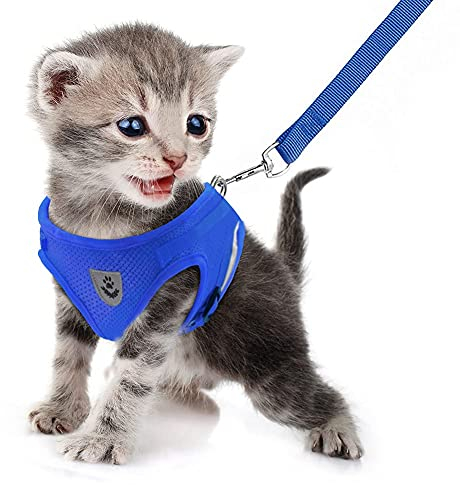 FEimaX Hundegeschirr für Hunde Anti Zug Brustgeschirr Ausbruchsicher Katzengeschirr mit Leine Reflektierend Welpengeschirr Verstellbar für Kleine Hunde Katzen