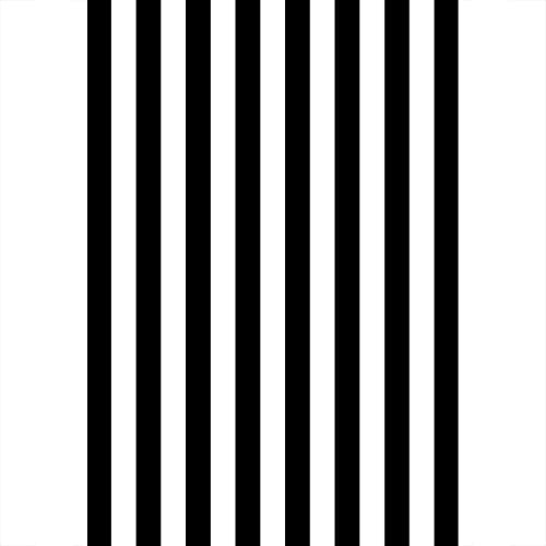 Aoihrraan 2x3m Abstrakt Wand Fotografie Hintergrund Schwarz und Weiß Streifen Geburtstag Party Zubehör Hintergrund Hochzeit Dekor Neugeborene Baby Dusche Banner Familie Event Foto Requisiten
