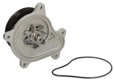 SKF VKPC 91865 Pompa acqua con guarnizioni