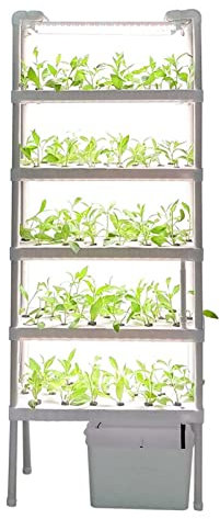 BMDHA Serra Idroponica Automatico, 190cm 162 Baccelli Giardino Intelligente con Lampada LED per Piante, Giardino Orto da Interno, Orto Idroponico