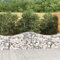 Gabionen mit Hochbogen 5 Stk. 200x50x60/80 cm Verzinktes Eisen,jiangboyue-3145601